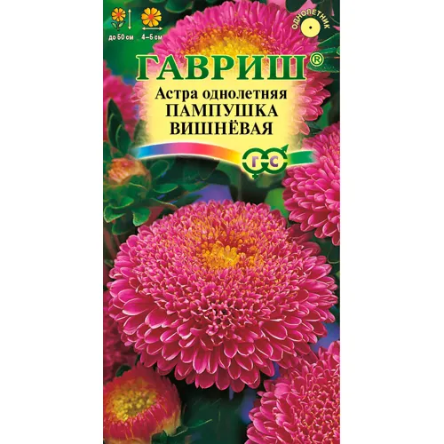 Astra Pampushka vishnevaya, odnoletnyaya (pomponnaya) 0,3 g 