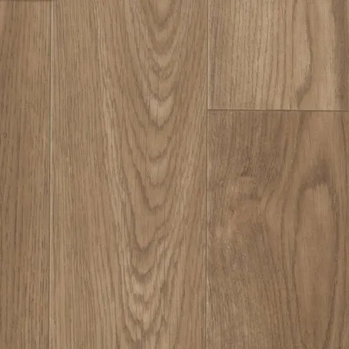 Linoleum 