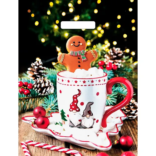 Paket s vyrubnoj ruchkoj 31h40 (60) Artplast glyanets NG (Beg vremeni) VUR56599_1