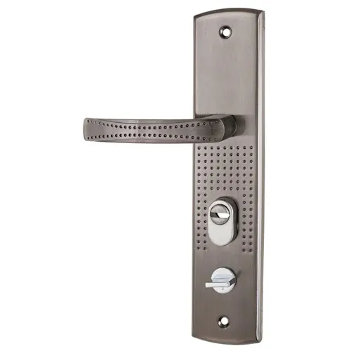 Komplekt ruchek dvuhstoronnij univers. dlya kitajskih metallicheskih dverej RN-ST222R Standart (12)_1
