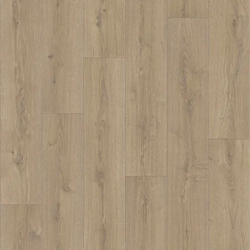 Linoleum PRAKTIKA BRUNO 1 3,0m (90 kv.m.)_1