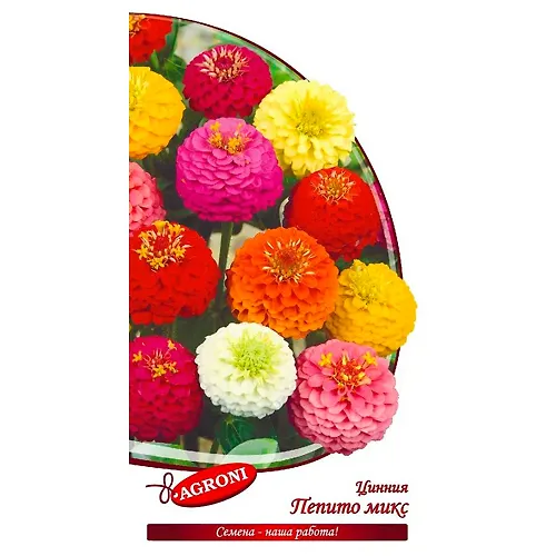 TSinniya izyaschnaya nizkoroslaya Pepito miks (0,3g) (ts/p 8160)_1