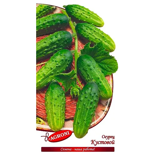 Ogurets Kustovoj (0,5g) (ts/p 1604)_1