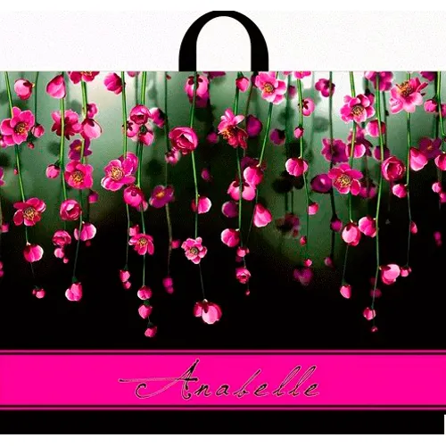 Paket s petlevoj ruchkoj 60h50+6 (70) Interpak (Anabel)_1