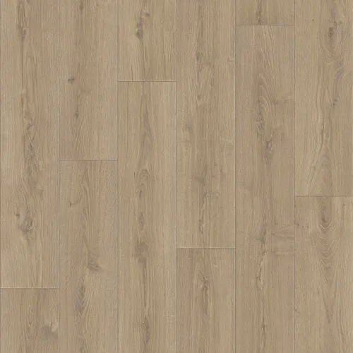 Linoleum Praktika Bruno 1 2,5m (82,5 kv.m)_1