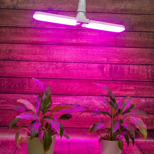 Lampa svetodiodnaya dlya rastenij. Forma 