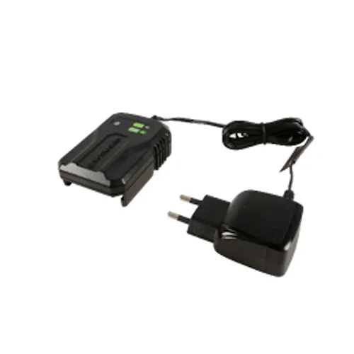 Zaryadnoe ustrojstvo GW 40V 2A Greenworks_1