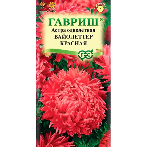 Astra Vajoletter krasnaya, odnoletnyaya (pionovidnaya) 0,3 g 
