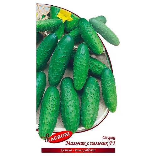 Ogurets Malchik-s-palchik F1 (0,3g) (ts/p 4728)_1