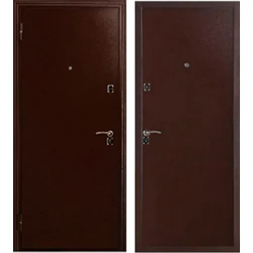 Dver metallicheskaya 60M (1024 1023) MET/MET 870 L_1