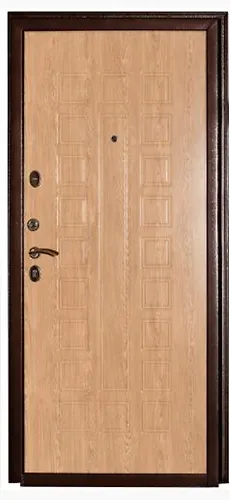 Dver metallicheskaya 60M (1020 5586) MDF El karpatskaya 870 L_3