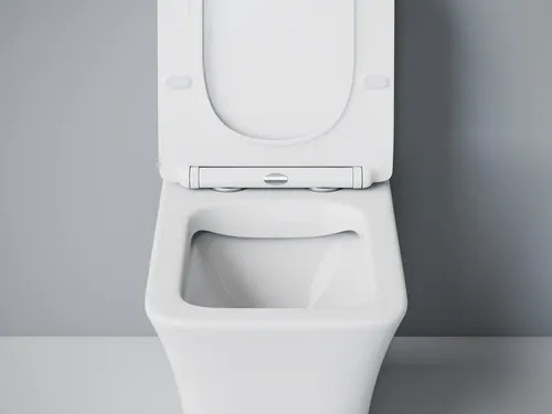 Unitaz-monoblok EvaGold SM9615, bezobodkovyj, sidene dyuroplast, s gofroj i podvodkoj_3