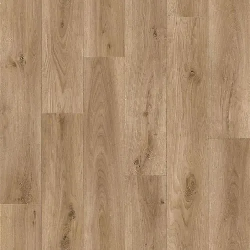 Linoleum 
