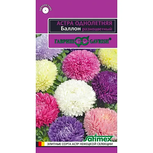 Astra Ballon raznotsvetnyj, odnoletnyaya (gustomahrovaya) 0,05 g seriya Eksklyuziv 