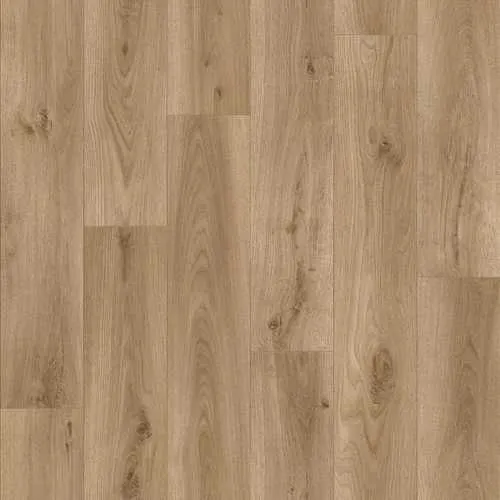 Linoleum 