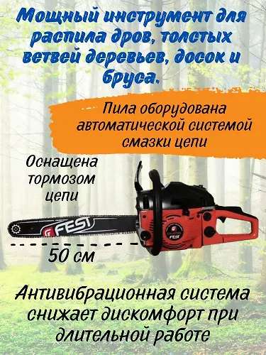 Benzopila FEST GS-5820S (2 sht/up)_3