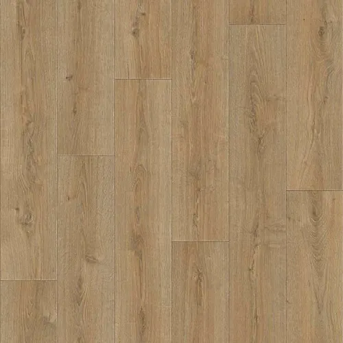 Linoleum PRAKTIKA BRUNO 2 3,0m (51 kv.m.)_1