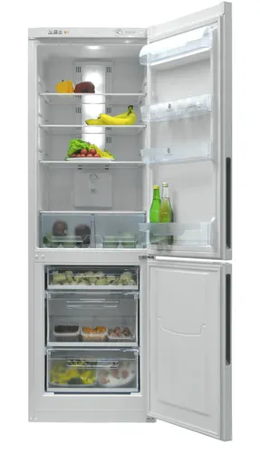 Holodilnik Pozis RK FNF-170 W_2