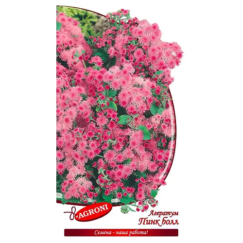 Ageratum Pink bol (0,1g) (ts/p 4902)_1