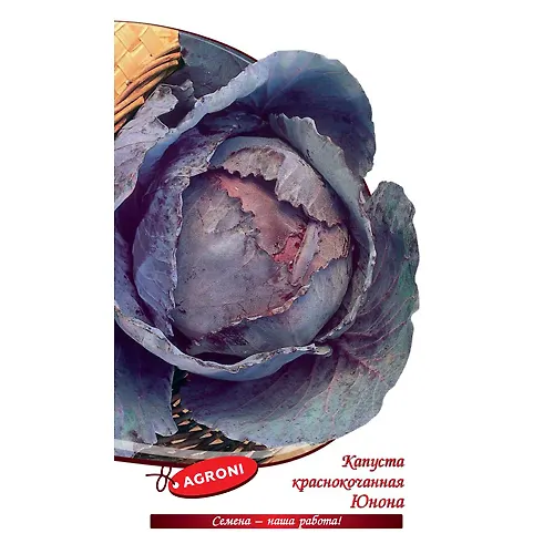 Kapusta k/k YUnona (0,5g) (ts/p 4278)_1