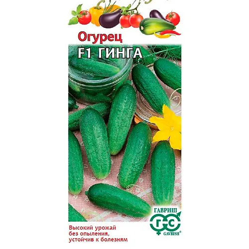 Ogurets Ginga F1 0,3 g 