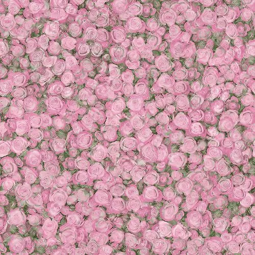 Linoleum Tarkett FLEUR ROSE 2 3m (75 kv.m.)_2