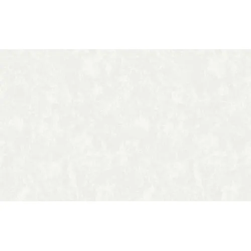 Oboi ERISMANN 60995-02 vinilovye na f/o g/t 10,05h1,06m (6)_1