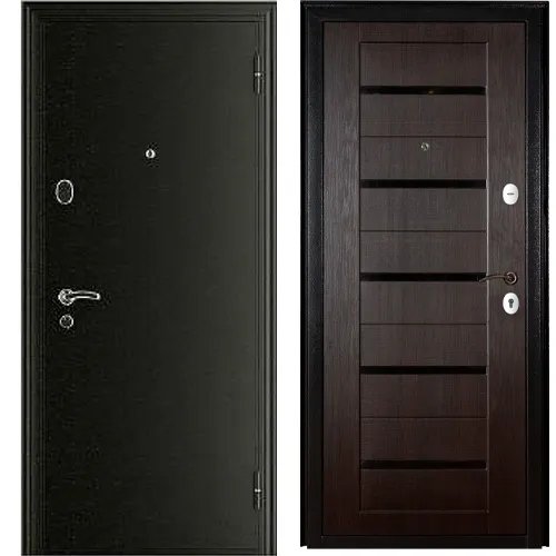 Dver metallicheskaya 60C (1020 0402) Skin Tem. oreh 970 R_1