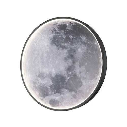 ESCADA Nastenno-potolochnyj svetilnik svet Escada 10226/SG LED*43W Moon_1