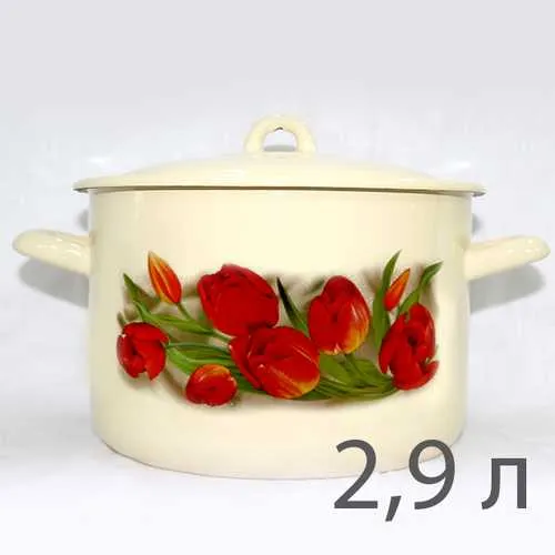 Kastryulya 2.9l S-16111/4KmE LASKOVYJ MAJ_1