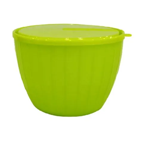 Salatnik Fiesta 1,7 l s kryshkoj GR1866_1