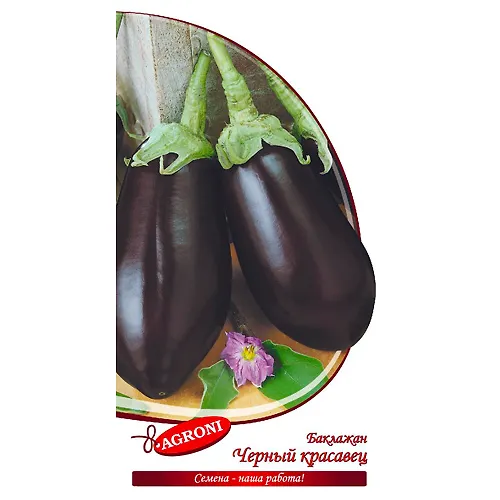 Baklazhan CHernyj krasavets (0,3g) (ts/p 6234)_1