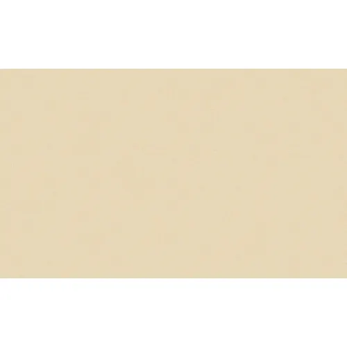 60109-06 Oboi ERISMANN Profi Deco Color 10,05h1,06 (6)_1