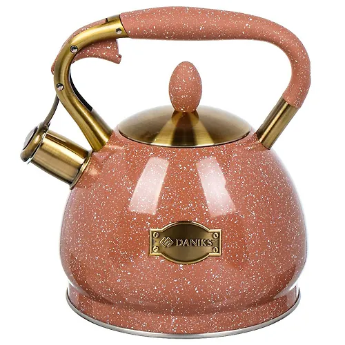 CHajnik nerzh. stal, 3 l, so sv., matovyj, ruchka s pokr.,nejlon, Daniks, induktsiya, GS-04517H (446894)_1