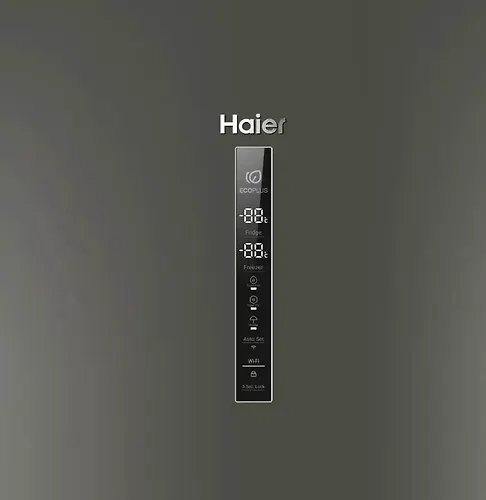 Holodilnik C2F636CFRGU1 