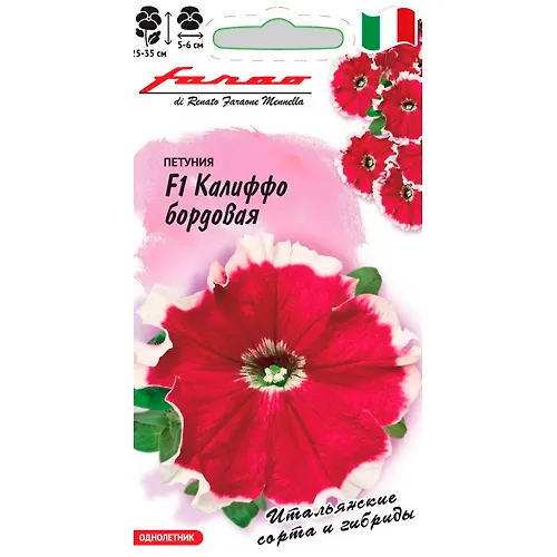Petuniya Kaliffo bordovaya F1 mnogotsv. 7 sht. granul. probirka, seriya Farao 