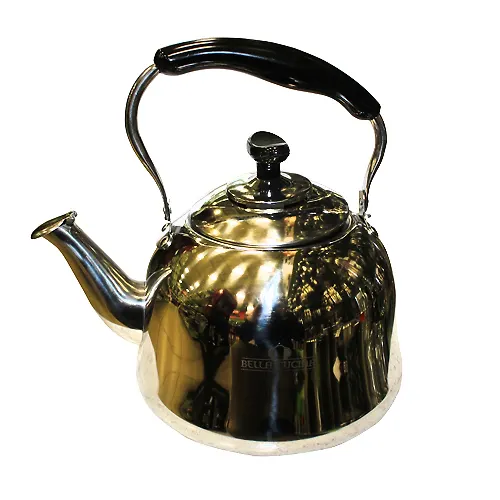 BC-1093 CHajnik so svistkom 4,0l_1