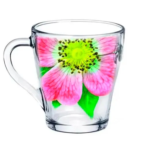 Nabor kruzhek dlya chaya 250ml. art.1649/6-D 