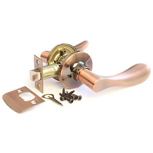 Zaschelka APEKS 0891-05-AC_1