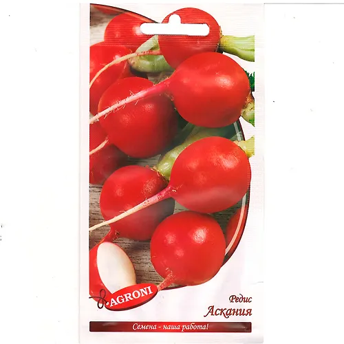 Redis Askaniya (2,0g) (ts/p 1703)_1