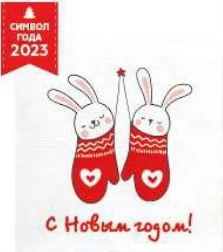 Salfetki 24h24 50listov (Zajki NG) Rossiya 2200003822298 SLF53463_1