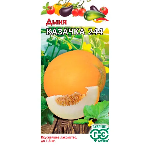 Dynya Kazachka 244 0,5 g 