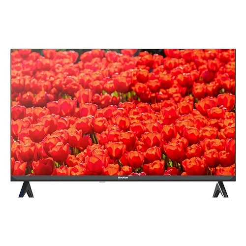 Televizor Blackton Bt 32FS02B Black_1