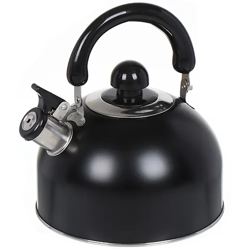 CHajnik nerzh 2,5l so svistkom, met ruchka matov chernyj Daniks GS-04001 (355352)_1
