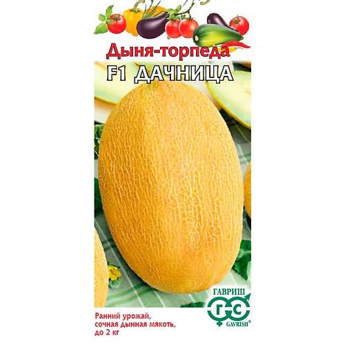 Dynya Dachnitsa 1 g 