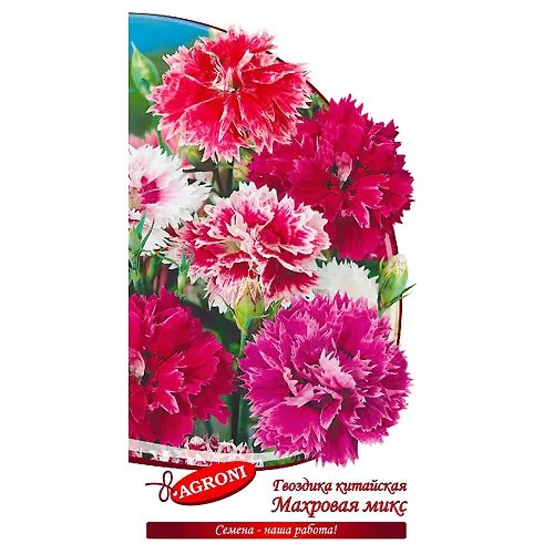 Gvozdika kitajskaya mahrovaya smes (0,3g) (ts/p 2960)_1