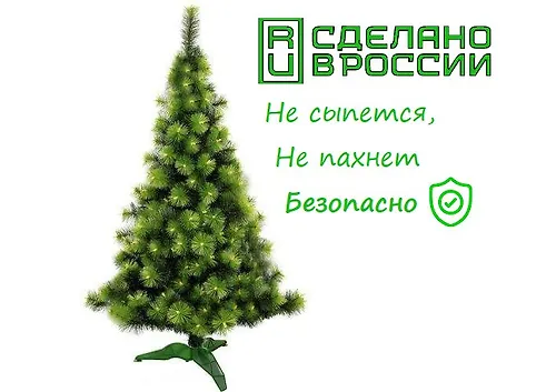 Sosna 