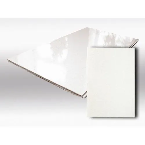 Panel PVH lakirovannaya 3000h250h0,75 Akvaton_1