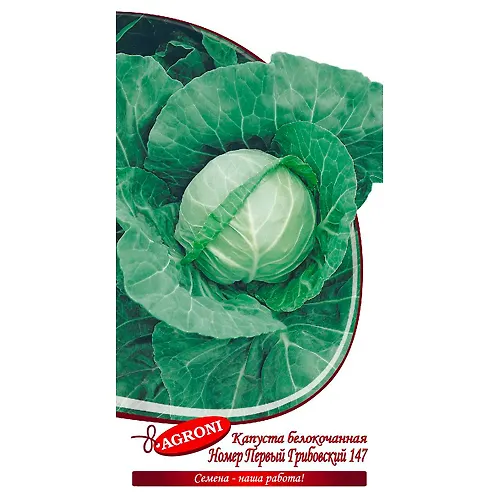 Kapusta belokochannaya Nomer 1 Gribovskij 147 0,5 g_1