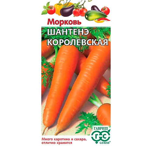 Morkov SHantene korolevskaya 1 g 